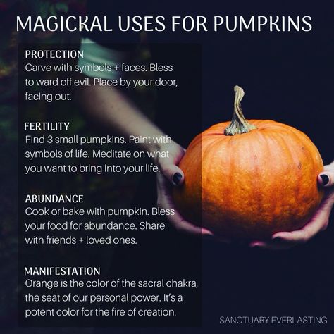 Learn the magical meaning of pumpkins, along with their symbolism and uses. Learn how they can play a powerful role in a witch's magick spells. Pumpkin Spells Witchcraft, Pumpkin Spells, Pumpkin Meaning, Witch Tarot, Witch Tips, Witchy Tips, Kitchen Witchery, Magick Spells, Witchcraft Spell Books