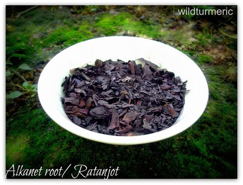 Ratanjot (Hindi name) was used to add natural deep red color in North Indian dishes for years. Sadly, it is replaced by synthetic red colors now. We call it “Vembalampattai” in Tamil. It is called… Alkanet Root, Ayurvedic Hair Growth, Hair Oil Recipe, Spa Recipes, Homemade Cosmetics, Homemade Hair, Ayurvedic Hair, Magical Herbs, Homemade Hair Products