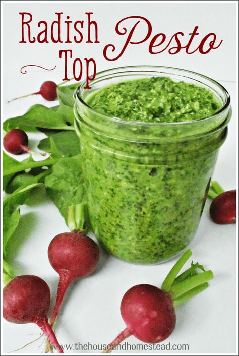 Radish Top Pesto Recipe | The House & Homestead Classic Pesto Recipe, Radish Greens, Modern Homesteading, Radish Recipes, Csa Recipes, Veggie Dip, Pesto Recipe, Garden Recipes, Vegetarian Meals