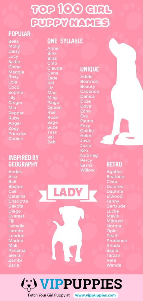 Girl Puppy Names - 1,000 Dog Names for Girls | VIP Puppies Cute Animal Names, Cute Puppy Names, Cute Pet Names, Ras Anjing, Dog Names Unique, Girl Dog Names, Female Dog Names, Best Dog Names, Cute Names For Dogs