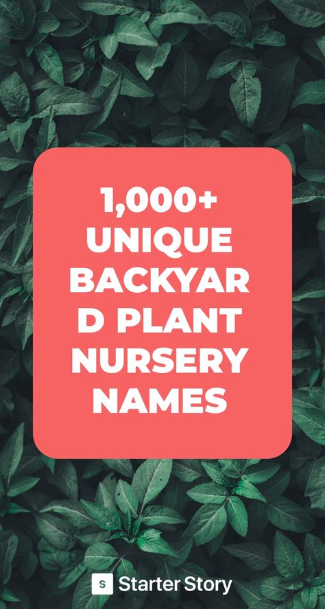 Greenhouse Name Ideas, Starting A Plant Business, Plant Business Name Ideas, Plant Shop Name Ideas, Plant Shop Names, Rustic Greenhouses, Unique Backyard, Store Names Ideas, Plant Business