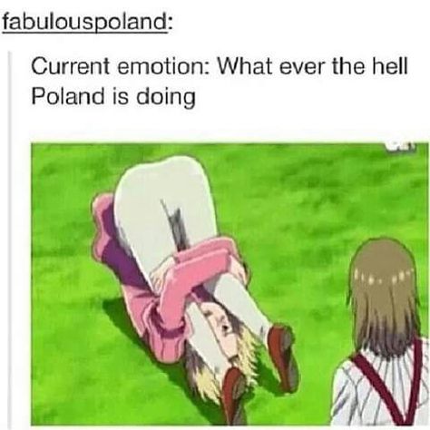 Hetalia meme| funny Hetalia Meme, Hetalia Poland, Poland Hetalia, Hetalia Memes, Take A Hint, Hetalia Funny, Hetalia Characters, Hetalia Axis Powers, Code Geass