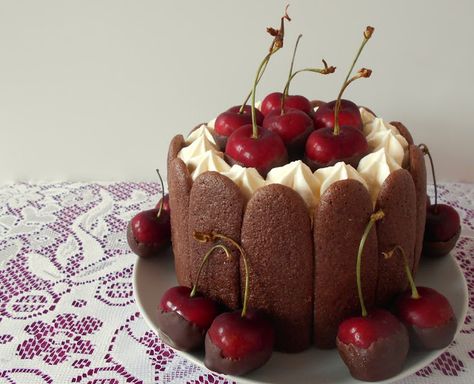 Black Forest Charlotte Russe, I'm not sure you could beat this as a birthday cake #baking #GBBO #food Charlotte Russe Dessert, Charlotte Cakes, Charlotte Russe Cake, Charlotte Royale, Hattie Mae, Gbbo Recipes, Baked Gifts, Bread Biscuits, Charlotte Cake