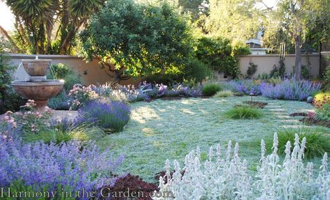 Sustainable Garden Design, Evergreen Landscape, Lawn Alternatives, Drought Tolerant Garden, Drought Tolerant Landscape, Aesthetic Couple, Mediterranean Garden, Sustainable Garden, Ground Cover