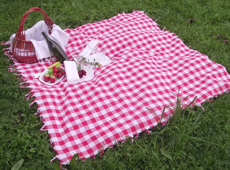 picnic time! Country Tailgate, Traditional Picnic, Picnic Snacks, Teddy Bear Party, Kitchen Tablecloths, Gingham Fashion, Environmental Portraits, Picnic Date, Covered Garden