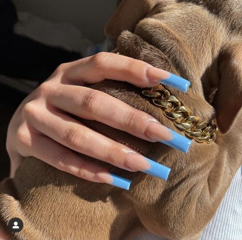 Blue French Tip, French Tip Nail Art, Blue French Tips, French Tip Acrylic Nails, Simple Acrylic Nails, French Acrylic Nails, Long Acrylic Nails Coffin, Blue French, Tip Nails