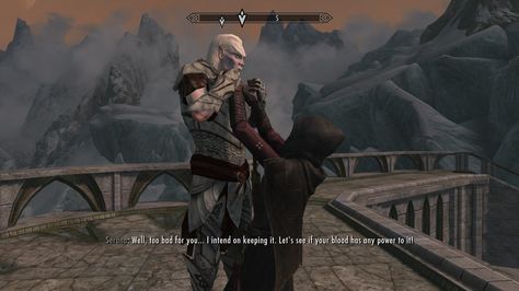 One of my favorite Skyrim moments, go Serana! Put that sass to good use! Skyrim Serana X Dragonborn, Skyrim Humor, Serana Skyrim, Skyrim Serana, Skyrim Dragonborn, Elder Scrolls Oblivion, Skyrim Game, Skyrim Funny, Scrolls Game