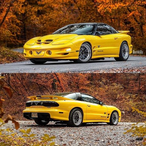 Pontiac Firebird Ws6, 2000 Pontiac Firebird, 2002 Trans Am Ws6, Trans Am Ws6, 2002 Pontiac Firebird, Pontiac Trans Am, Vintage Scale, Pontiac Firebird Trans Am, Pontiac Cars