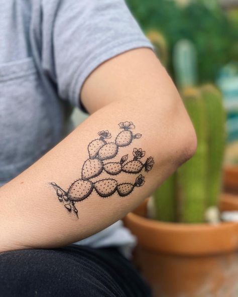 TEMPORARY TATTOOS (@naturetats) • Instagram photos and videos El Nopal Tattoo, Cactus Fruit Tattoo, Prickly Pear Cactus Tattoo Traditional, Snake And Cactus Tattoo, Saguaro Cactus Blossom Tattoo, Cactus Arm Tattoo, Prickly Pear Cactus Tattoo Small, Black And White Cactus Tattoo, Nopal Tattoo Mexican