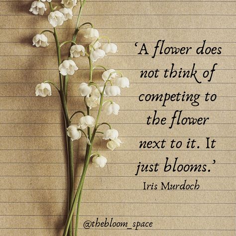 Lily Of The Valley Quotes, Iris Murdoch Quotes, Flower Blooms Quotes, Lily Quotes Flowers Words, Flowers Blooming Quotes, Buy Yourself Flowers Quote, Cute Flower Quotes, Lily Quotes, Quotes About Flowers Blooming