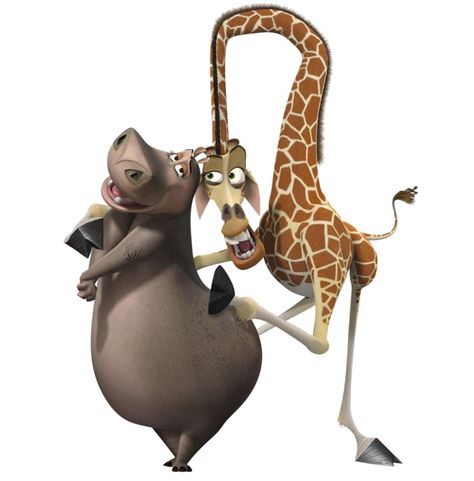 Madagascar Gloria, Silly Goofy, Pet Memes, Teenage Years, Meme Faces, Laughing So Hard, Outfits Casual, Baddie Outfits, Animal Memes