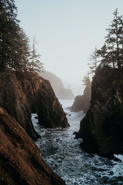 Want to plan an elopement on the west coast but not sure whether to choose OR or WA? Or maybe you want to experience the beach & forest but don't know if you can have both. Cassie and Cintia had the most stunning OR coastal elopement with their family & this blog discusses why the Oregon Coast is an ideal location for adventure elopements and elopements with guests. | Oregon Intimate Elopement Wedding | West Coast Adventure Elopement | Elopement Dress and Suit | Intimate Family Dinner Reception Foggy Coast Aesthetic, West Coast Beach Wedding, Oregon Coast Wallpaper, Forest Beach Aesthetic, Beach Forest Aesthetic, Coastal Forest Aesthetic, Pacific Coast Aesthetic, Oregon Beach Aesthetic, Oregon Coast House