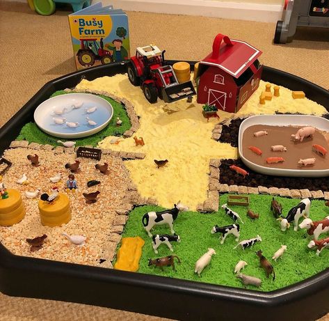 Sensory Tuff Tray Ideas, Tuff Tray Ideas Toddlers, Tuff Tray Ideas, Farm Animals Activities, Farm Theme Preschool, Maluchy Montessori, Aktiviti Kanak-kanak, Baby Sensory Play, Nursery Activities