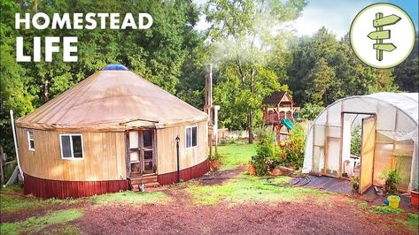 Six years ago, Mike, Lacie, and their three kids downsized, left the city, and moved into a small yurt in the country to try their hand at homesteading. Like so many people, they dreamed of living off the land and growing their own food, and with a lot of hard work they’ve made their vision […] Yurt Homestead, Yurt Life, Yurt Home, Yurt Living, Natural Architecture, Bed Nook, Tiny House Community, Duck Pond, Homestead Living