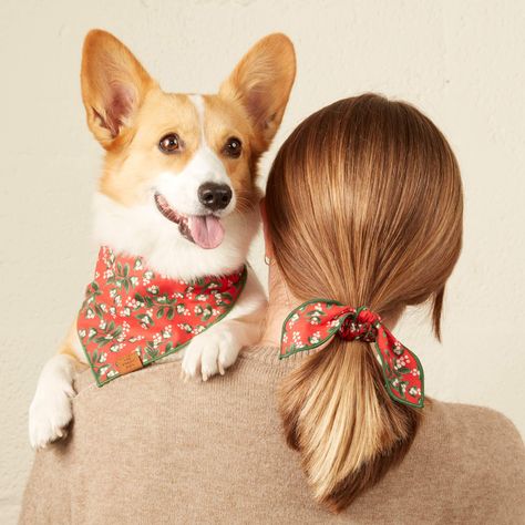 Under the Mistletoe Bow Scrunchie from The Foggy Dog Foggy Dog, The Foggy Dog, Dog Gadgets, Bow Scrunchie, Under The Mistletoe, Dog Collars, Bandanas, High Tech, Best Friend