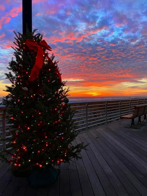 Summer Christmas Aesthetic, Christmas In Brazil, Christmas Sunset, Christmas On The Beach, Sunset Christmas, Christmas Australia, Beach Wallpaper Iphone, Long Beach Ny, Christmas Lights Outside