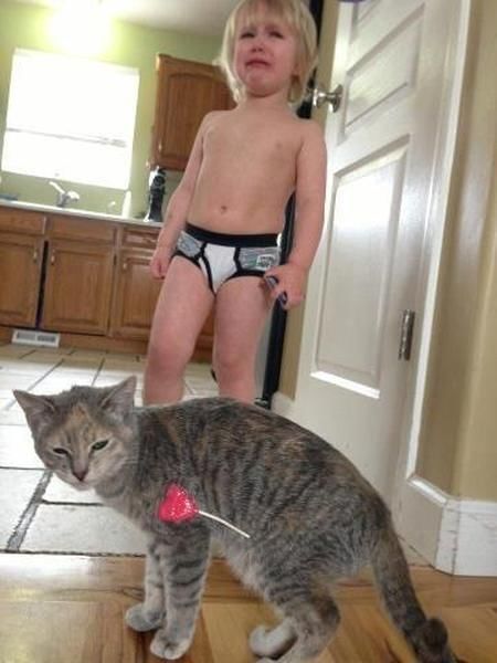 I can't stop laughing. HAHAHAHAHAHAAHHAAHA -- Kudos to the photographer and humor. Awesome PIN. Doug Funnie, Humor Animal, Funny Commercial Ads, Behind Blue Eyes, Funny Commercials, Söt Katt, Can't Stop Laughing, E Card, Crazy Cat Lady