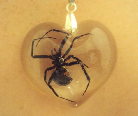 Real Black Widow Spider Clear Heart Resin Pendant by veronica1018, $32.99 Heart Resin, Oddly Specific, Widow Spider, Black Widow Spider, Spider Jewelry, Clear Heart, Cool Bugs, Creepy Crawlies, Creepy Cute