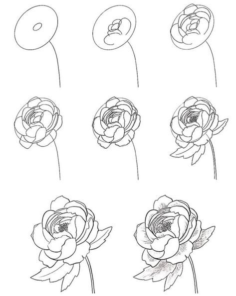 Peony Flower Drawing Simple, Peony Painting Tutorial, How To Draw Peony, Peony Drawing Simple, How To Draw A Peony, Peony Drawing Tutorial, Peony Doodle, How To Draw Peonies, Peonies Sketch