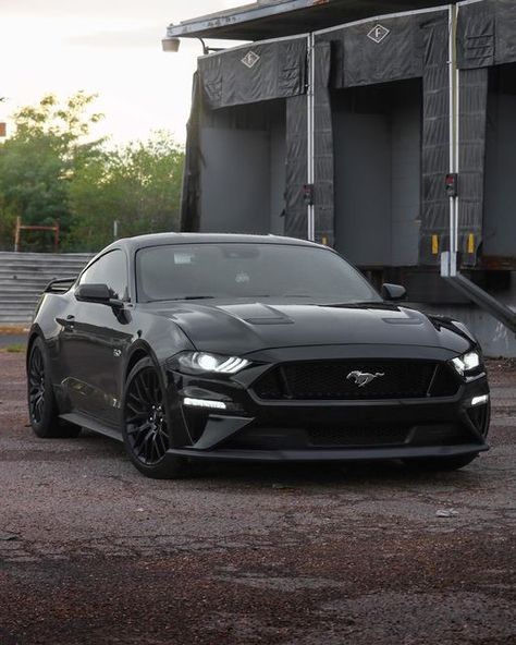 67 Ford Mustang Shelby Gt500, Mustang S550 Gt, Cars Ford Mustang, 2019 Ford Mustang Gt, All Black Mustang Gt, 05-09 Mustang Gt, Cool Mustangs, Mustang Gt Aesthetic, Mustang 5.0 Gt