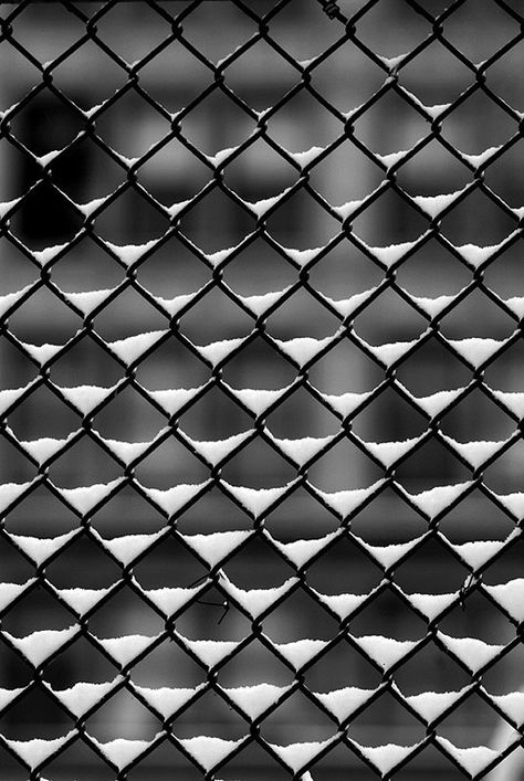 Principle: Pattern This photo uses the pattern of the chain fence across the whole photo. Foto Macro, Pattern Photography, Elements And Principles, Texture Photography, Foto Tips, Principles Of Design, Foto Vintage, Foto Art, Jolie Photo