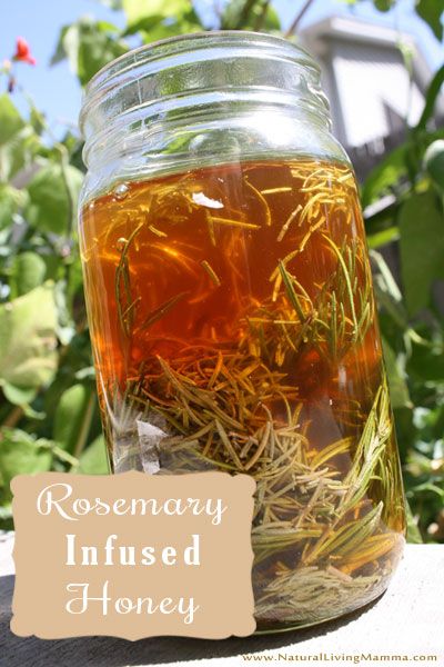 Rosemary Infused Honey Recipe // deliciousobsessions.com #herbs #rosemary #honey Honey Infusions, Herb Infused Honey, Rosemary Honey, Herbal Medicine Cabinet, Infused Honey, Honey Candy, Honey Scent, Nature Food, Mesh Strainer