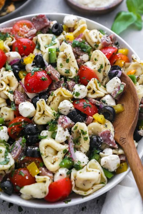 Italian Tortellini Pasta Salad, Italian Tortellini Pasta, Tortellini Pasta Salad Recipes, Italian Tortellini, Tortellini Pasta Salad, Spinach Tortellini, Pasta Salad With Tortellini, Zesty Italian Dressing, Antipasto Salad