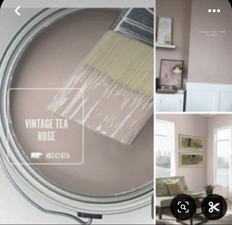 Pink Paint Colors, Behr Paint Colors, House Paint Interior, Paint Color Inspiration, House Color Palettes, Big Girl Rooms, Tea Rose, Bedroom Paint, Mauve Pink