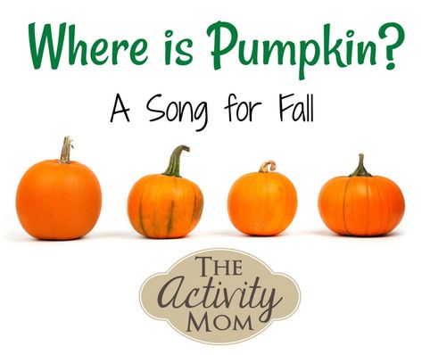 Where is Pumpkin? A Fall Song for Kids #kids #fall #actionrhyme #pumpkin #songs #kidssong #singingwithkids Pumpkin Nursery Rhyme, Pumpkin Infant Activities, Fall Lessons For Toddlers, Pumpkin Rhymes For Preschool, Pumpkin Poems For Preschool, Pumpkin Songs For Kids, Pumpkin Songs For Toddlers, Pumpkin Songs, Infant Songs