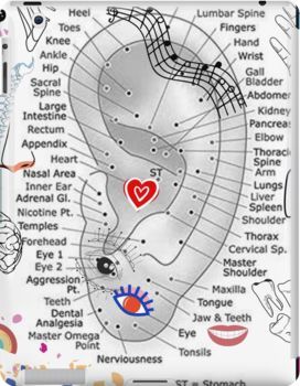 Ear Pressure Points, Pressure Points Chart, Ear Acupressure Points, Reflexology Pressure Points, Body Pressure Points, Ear Reflexology, Reflexology Points, Reflexology Foot Chart, Ear Pressure