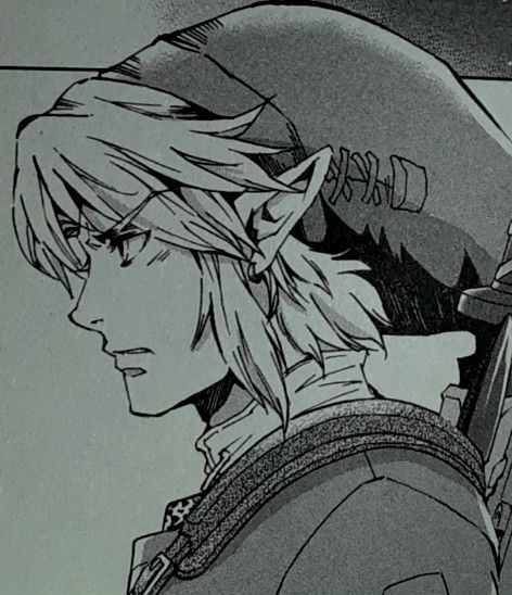 Twilight princess link from The Legend of Zelda Twilight princess manga created by Akira Himekawa Link Twighlight Princess, Link Fanart Twilight Princess, Link Pfp Twilight Princess, Link Tp Manga, Twilight Princess Manga Link, Link Manga Panel, Link Aestethic, Twilight Princess Link Pfp, Link Side Profile