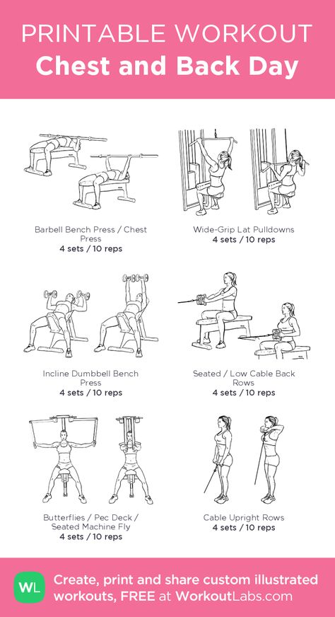 Chest and Back Day – illustrated exercise plan created at WorkoutLabs.com •… Back Day Workout, Gym Bunny, Workout Labs, Day Template, Printable Workouts, Exercise Plan, Free Workout, Planet Fitness, Workout Plan Gym