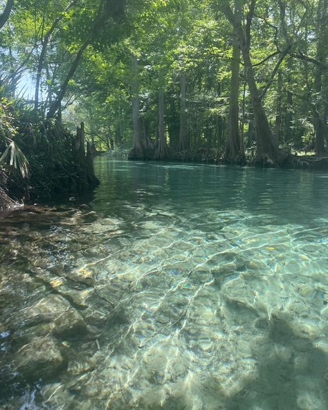 We swim in your spring water before you drink it…💙 Pretty Water Aesthetic, Michaelcore Aesthetic, Spring Ocean, Friends Party Night, Relaxing Photos, Relaxing Images, Water Spring, Landscapes Photography, Ocean Images