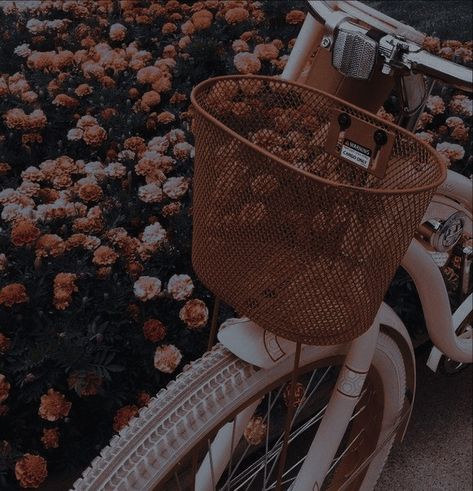 Ani Core, Alex + Core + Aesthetic, Alex Core, Clara Galle, Ugly Love, Aesthetic Journal, Lily Bloom, Aesthetic Flowers, Aesthetic Board