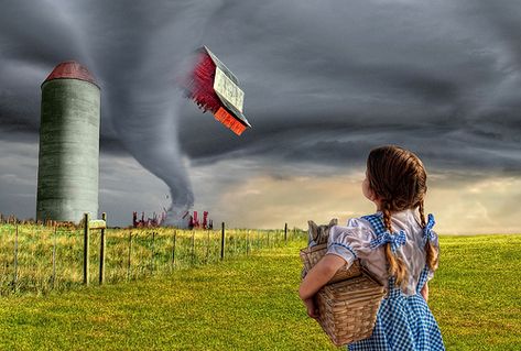 Dorothy and the Tornado Wizard Of Oz Tornado, Dorothy Oz, Tornado Pictures, Dorothy Gale, Fairytale Stories, Land Of Oz, The Wonderful Wizard Of Oz, Yellow Brick Road, Helping Children