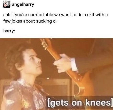 SNL meme Fandom Crossover, Snl, Saturday Night Live, Harry Styles, Memes, Funny