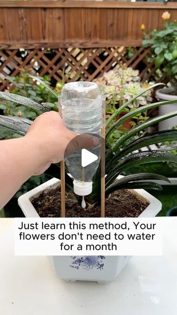 Garden Ideas on Instagram: "Use recycled bottles to water plants automatically #garden #gardening #plants #planting #planthacks #gardenhacks #gardeningmakemehappy #gardeningtips #gardeningideas #gardeninspiration #gardenlove" Water Bottle Watering Plants, Plant Water Dripper Diy, Diy Watering Globes For Plants, Diy Plant Waterer Plastic Bottles, Plant Watering Hacks, Watering Plants While On Vacation, Self Watering Bottle, Automatic Plant Waterer, Pvc Conduit