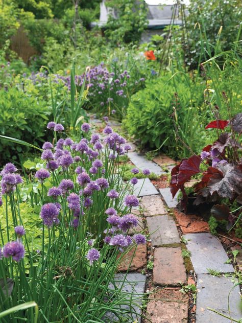 Alys Fowler Garden, Rocks Garden Ideas, Gardens With Rocks, Garden Bricks, Garden Path Ideas, Garden Dividers, Rocks Garden, Allotment Ideas, Edible Gardening