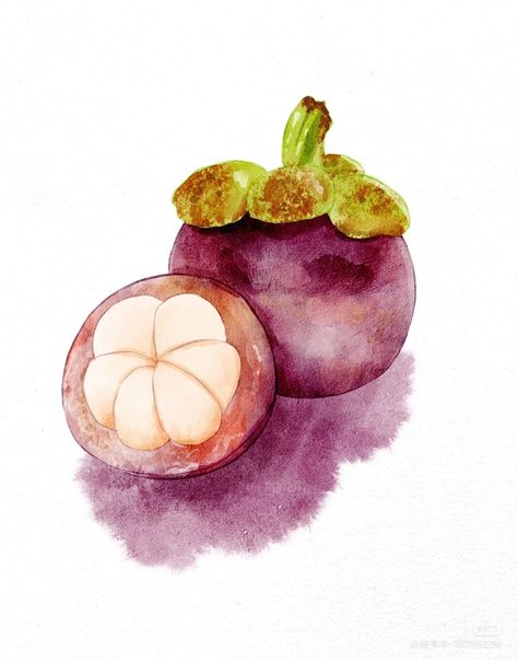 Mangosteen Drawing, Food Drawing Easy, Plant Icons, Watercolor Fruits, Plant Icon, Food Sketch, Watercolor Fruit, Fruit Flowers, Cat Air