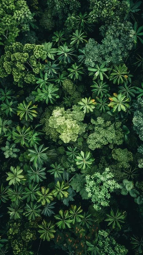 The image shows an aerial view of a lush green forest. The canopy is made up of a variety of different trees, all of which are different shades of green ->> more details in ai-img-gen.com