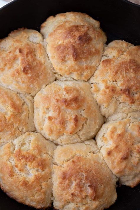 The Best Sourdough Discard Drop Biscuits Recipe - Lifestyle of a Foodie Buttery Sourdough Biscuits, No Wait Sourdough Biscuits, Sour Dough Discard Drop Biscuits, Sourdough Flaky Biscuits, Same Day Sourdough Biscuits, Sourdough Biscuits Dairy Free, Sourdough Discard Recipes Biscuits, Sourdough Drop Biscuits Easy, Discard Scones Recipe