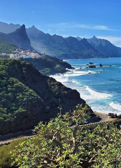 Travel world Tenerife Canary Islands Beautiful Places, Tenerife Canary Islands Aesthetic, Canary Islands Aesthetic, Tenerife Aesthetic, Holiday Tenerife, Canarian Islands, Canary Islands Tenerife, Tenerife Canary Islands, Tenerife Spain