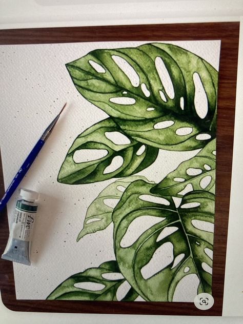 Monstera Adansonii, Green Planet, Diy Watercolor Painting, Watercolour Inspiration, Leaf Wall, Plant Painting, 수채화 그림, Young Professional, Plant Drawing