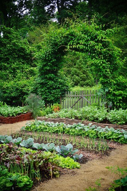 Plan Potager, Reka Bentuk Landskap, Summer Flower Arrangements, Potager Garden, Backyard Vegetable Gardens, Landscape Design Plans, Veg Garden, Have Inspiration, Home Vegetable Garden