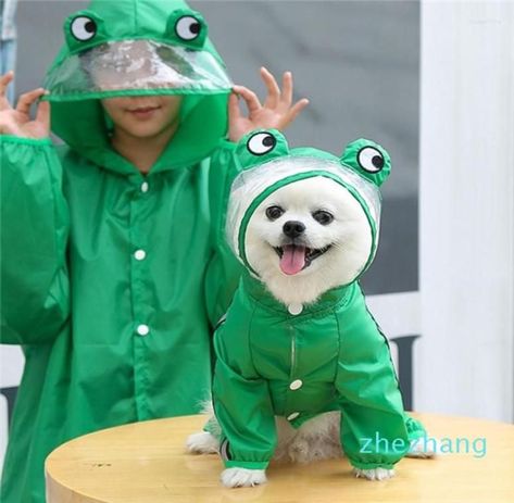 Frog Raincoat, Raincoat Fashion, Dog Suit, Dog Raincoat, Cute Frog, Green Frog, Dog Apparel, Small Puppies, Dog Jacket