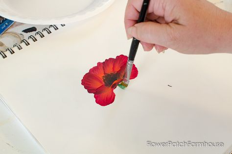 Learn How to Paint a Poppy, FlowerPatchFarmhouse.com (8 of 17) Acrylic Poppy Painting, Painting A Flower, Poppy Flower Painting, Learn Acrylic Painting, Art Zine, Poppy Art, Acrylic Painting Flowers, Poppy Painting, Acrylic Painting Tips