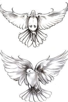 Dove Flying Tattoo, Doves Tattoo Design, Doves Tattoo, Dove Tattoo Design, Dove Flying, Pretty Tattoo, Dove Tattoos, Flying Tattoo