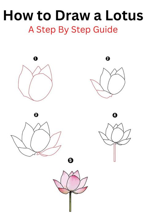 How to Draw a Lotus Lotus Doodle Simple, Lotus Flower Drawing Simple Step By Step, How To Draw Lotus Step By Step, How To Draw Lotus Flower Step By Step, How To Draw A Lotus Flower, Lotus Drawing Simple, Draw A Lotus Flower, Hobonichi Journal, Garden Drawings