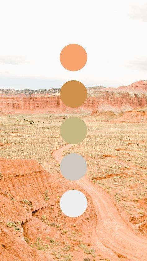 Colors Moodboard, Vineyard Decor, Desert Color Palette, Color Branding, Interior Paint Colors Schemes, Color Palette Ideas, Moodboard Inspiration, Desert Colors, Paint Color Schemes