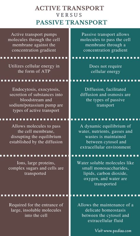 Difference Between Active and Passive Transport - Comparison Summary Active And Passive Transport, Passive Transport Notes, Active Transport Biology Notes, Passive Transport, Active Transport, Biochemistry Notes, Chemistry Between Two People, Biology Revision, Study Biology